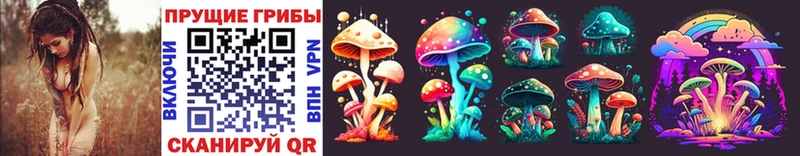 ОМГ ОМГ онион Рассказово Псилоцибиновые грибы Magic Shrooms